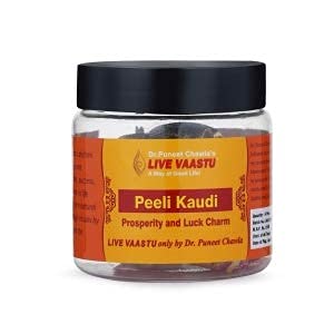 Peeli Kaudi