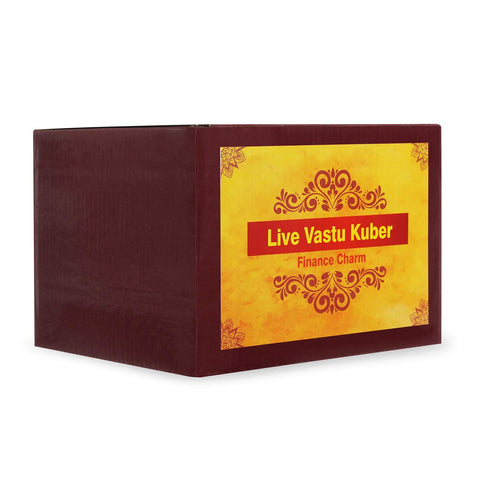 Live Vastu Kuber