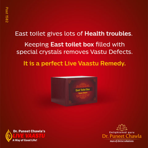 East Toilet Box for Vastu Dosh Nivaran Box