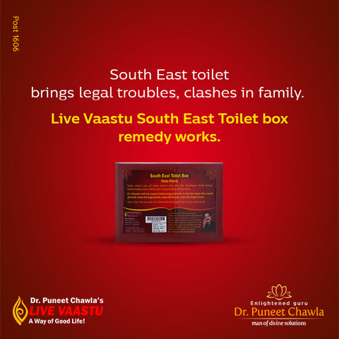 South East Toilet Vastu Dosh Nivaran Box