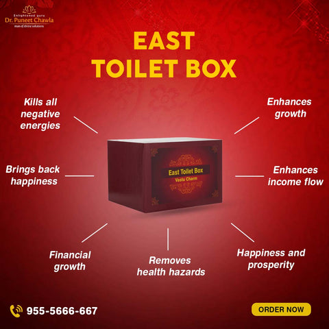 East Toilet Box for Vastu Dosh Nivaran Box