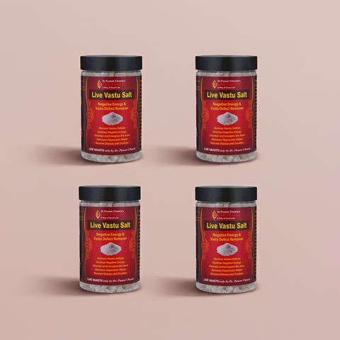 Live Vaastu Sea Salt Remove Negative Energy From Home Bedroom Kitchen Toilet Pack Of 4