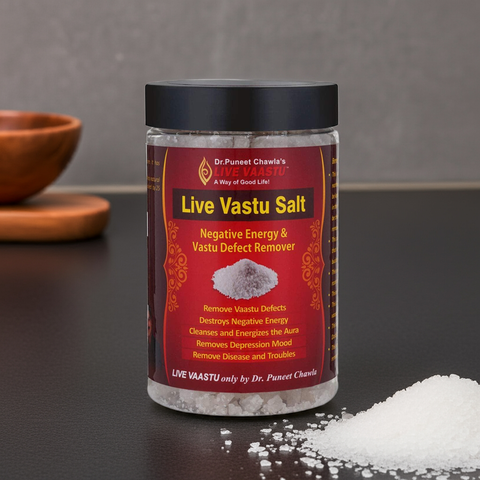 Live Vaastu Sea Salt Remove Negative Energy From Home Bedroom Kitchen Toilet