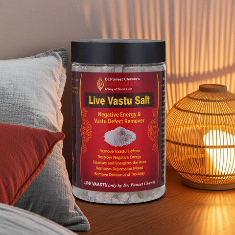 Live Vaastu Sea Salt Remove Negative Energy From Home Bedroom Kitchen Toilet