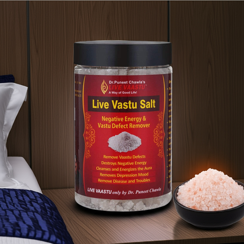 Live Vaastu Sea Salt Remove Negative Energy From Home Bedroom Kitchen Toilet