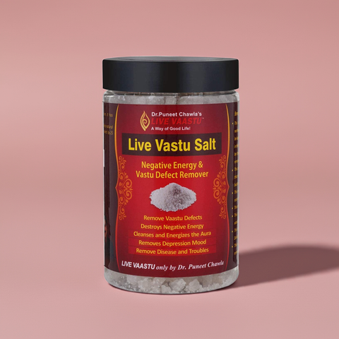 Live Vaastu Sea Salt Remove Negative Energy From Home Bedroom Kitchen Toilet