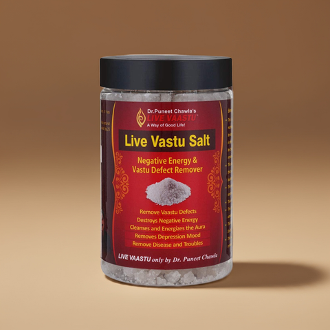 Live Vaastu Sea Salt Remove Negative Energy From Home Bedroom Kitchen Toilet