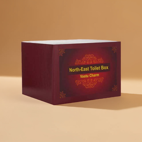 North East Toilet Vastu Dosh Nivaran Box | Crystal and Stone
