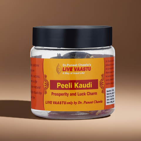 Peeli Kaudi