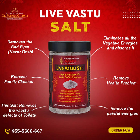 Live Vaastu Sea Salt Remove Negative Energy From Home Bedroom Kitchen Toilet Pack Of 4