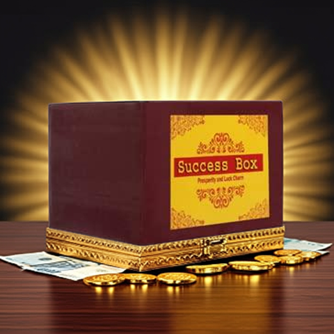 Success Box for Career & Business Growth |