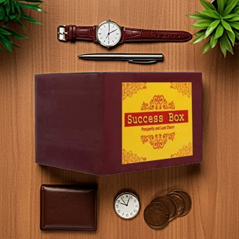 Success Box for Career & Business Growth |