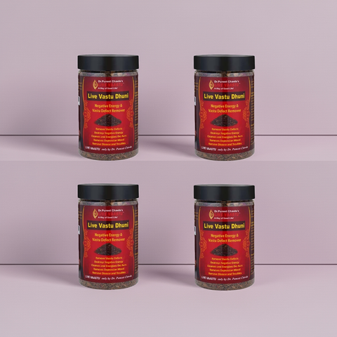 Vaastu Dhuni | Remove Negative Energy for Wealth & Money Boost Pack Of 4