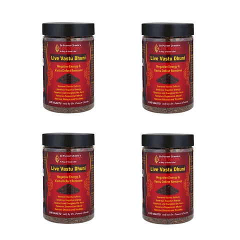 Vaastu Dhuni | Remove Negative Energy for Wealth & Money Boost Pack Of 4