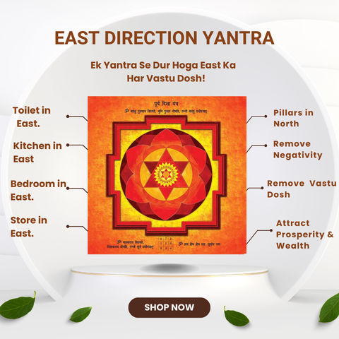 East Direction Vastu Yantra for Toilet, Bathroom & Kitchen Dosh Nivaran