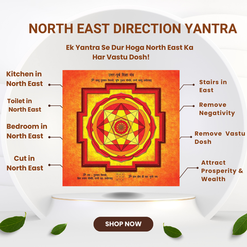 North East Direction Vastu Yantra For Toilet, Kitchen, Staircase, Cut