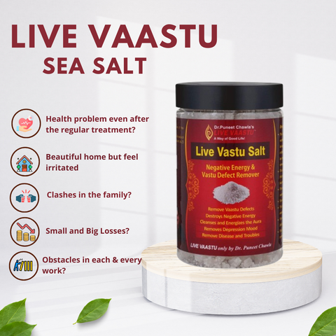 Live Vaastu Sea Salt Remove Negative Energy From Home Bedroom Kitchen Toilet