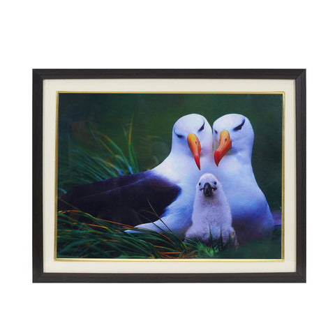 Bird Picture for Family Relationship