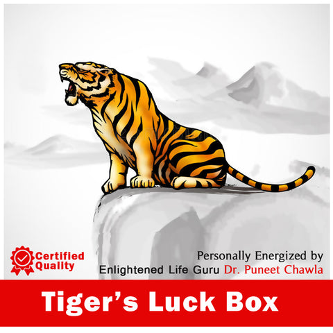 Tiger’s Luck Box for Wealth, Power & Protection