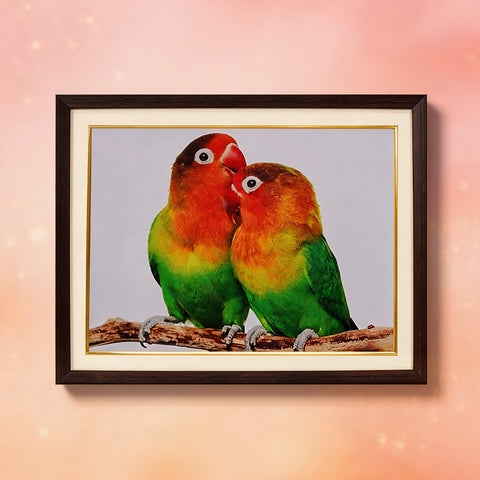 Parrot Couple for Relationship