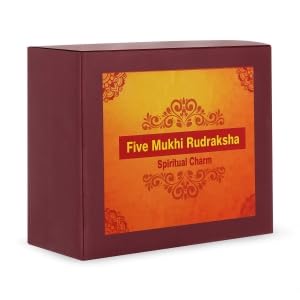5 Mukhi Rudraksh