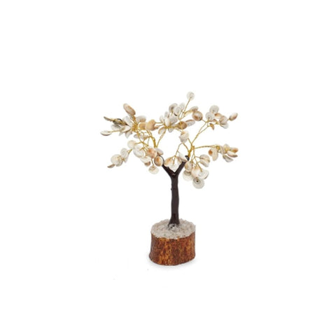 Iccha Purti Gomati Tree