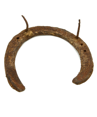 Black Horse Shoe