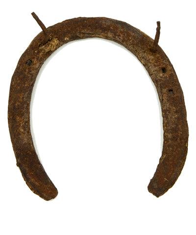 Black Horse Shoe