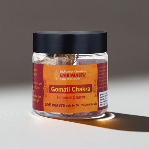 Gomati Chakra | Luck & Wealth Chakra