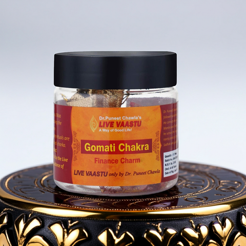 Gomati Chakra | Luck & Wealth Chakra