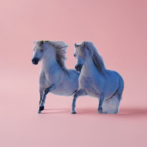 Horse Pair Decorative Photo Frame – Symbol of Strength & Success