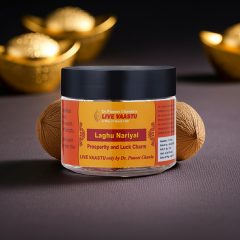 Laghu Nariyal | Prosperity Attractor