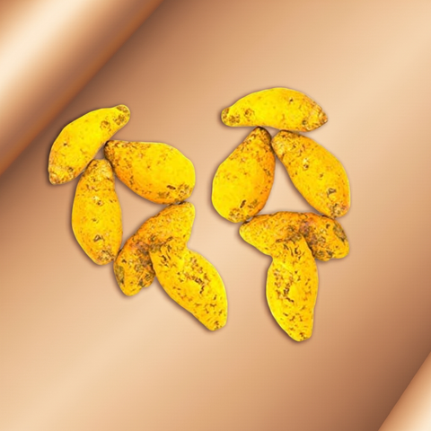 Lakshmi Haldi