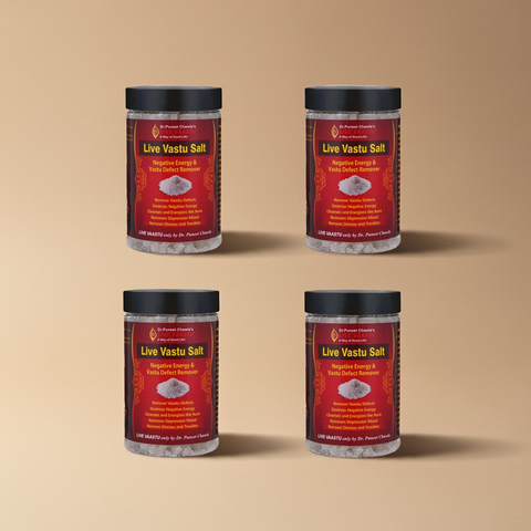 Live Vaastu Sea Salt Remove Negative Energy From Home Bedroom Kitchen Toilet Pack Of 4