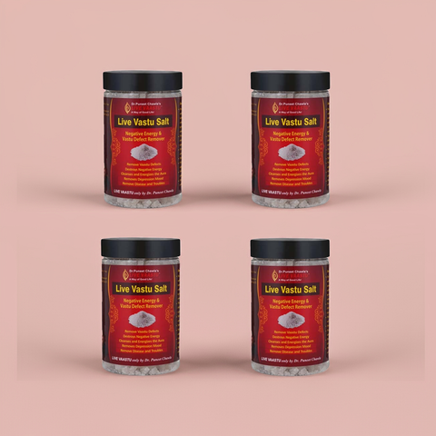 Live Vaastu Sea Salt Remove Negative Energy From Home Bedroom Kitchen Toilet Pack Of 4