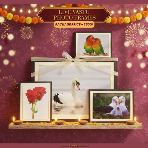 Diwali Special: 4-in-1 Vastu Photo Frames