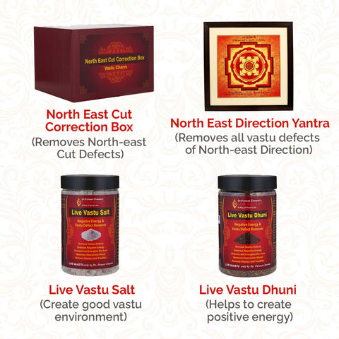 North East Cut Vastu Remedy