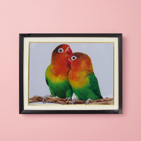 Parrot Couple for Relationship
