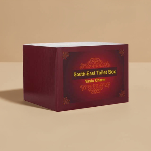 South East Toilet Vastu Dosh Nivaran Box