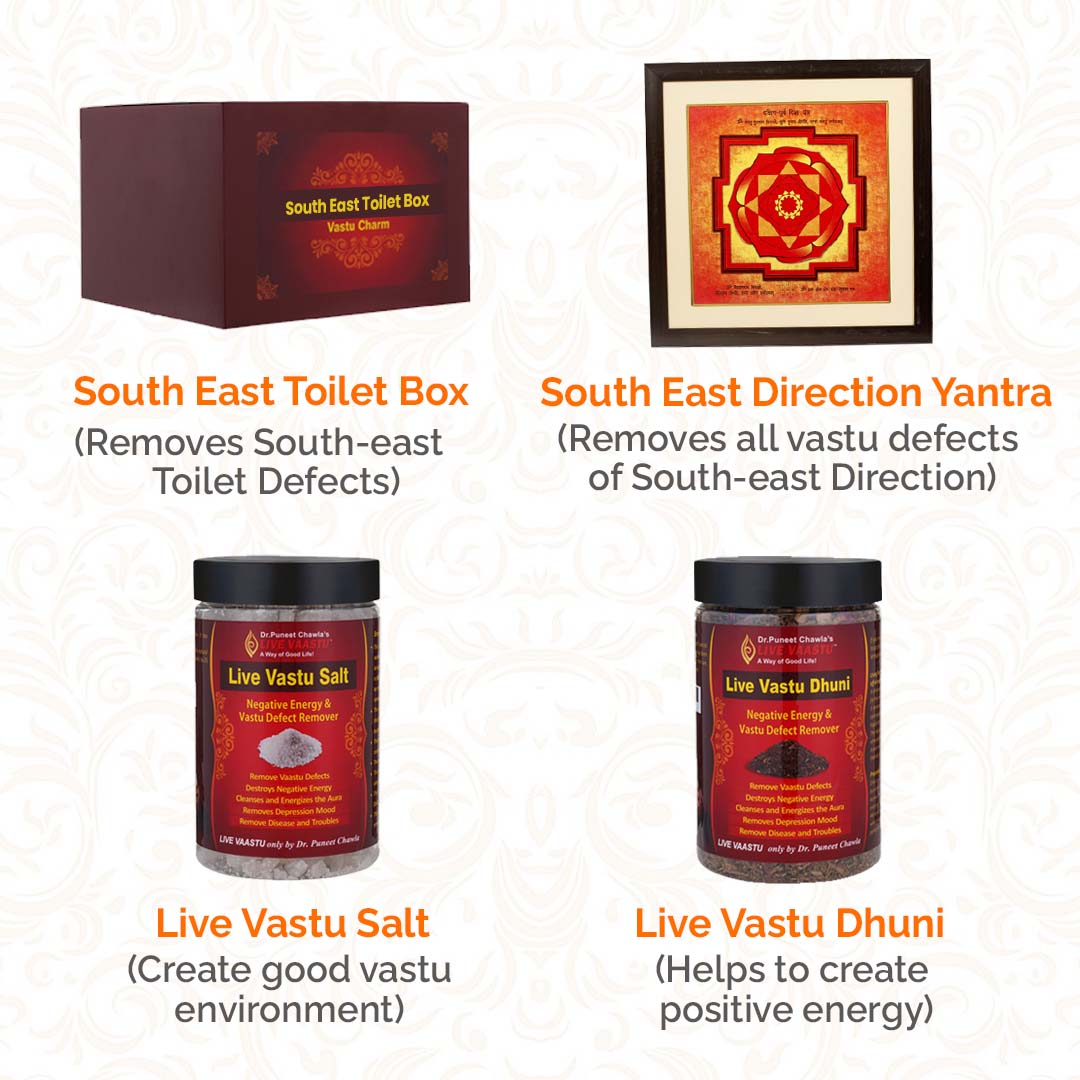 South East Toilet Vastu Remedy