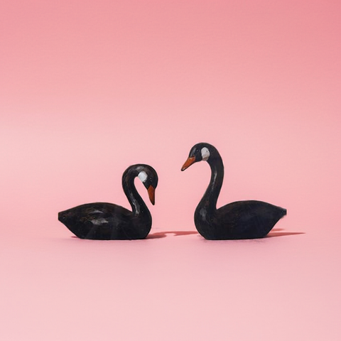 Black Swan Pair Photo Frame