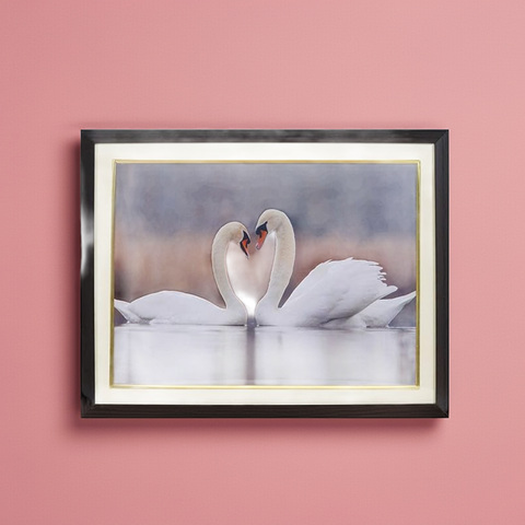 White Swan Pair Photo Frame