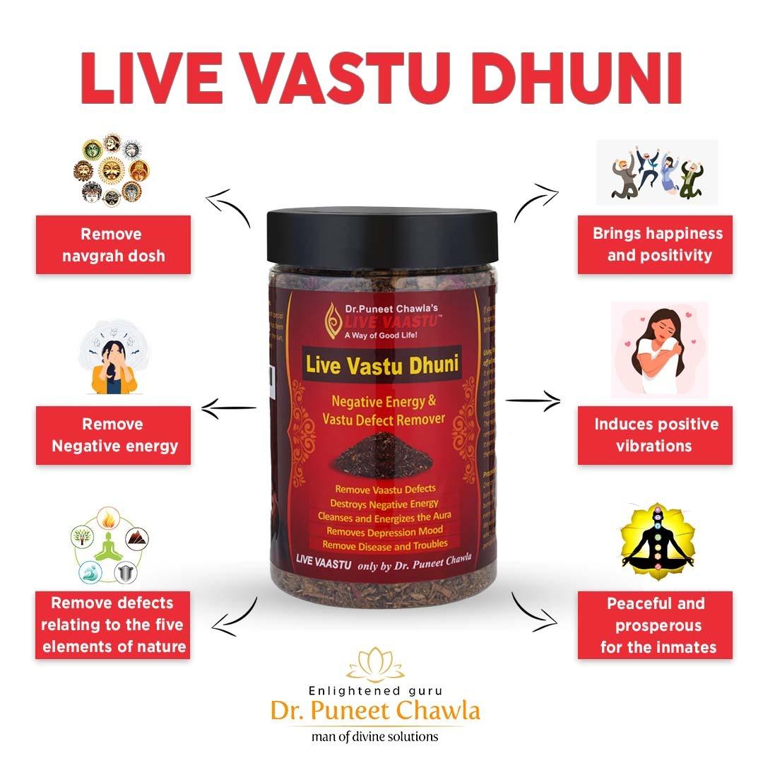 Live Vastu Dhuni - LiveVaastu