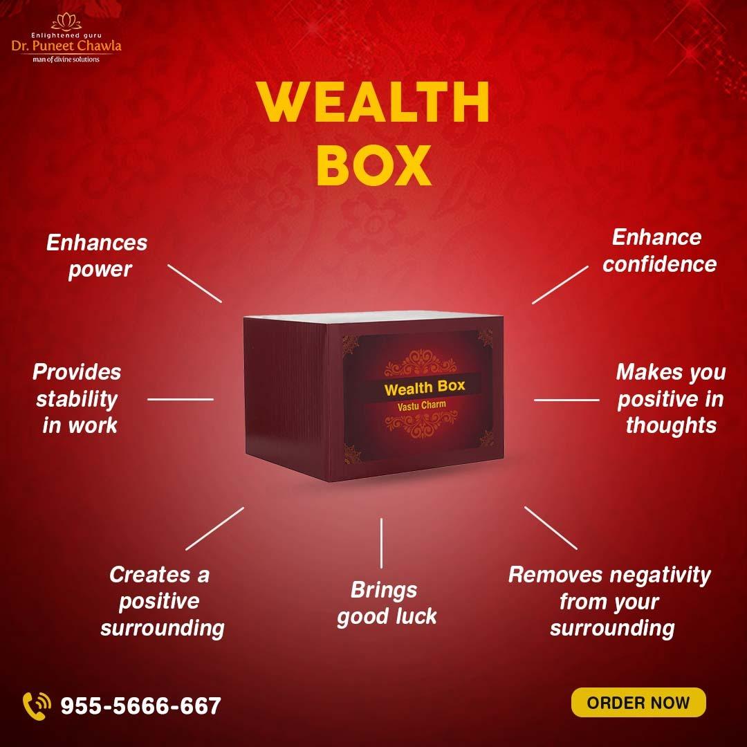 Live Vastu Wealth Box - LiveVaastu