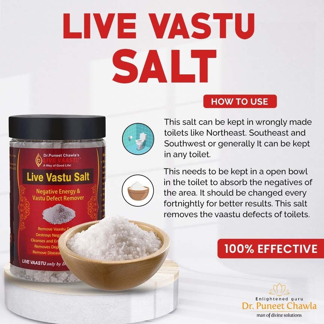 Live Vaastu Sea Salt - LiveVaastu