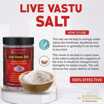 Live Vaastu Sea Salt - LiveVaastu