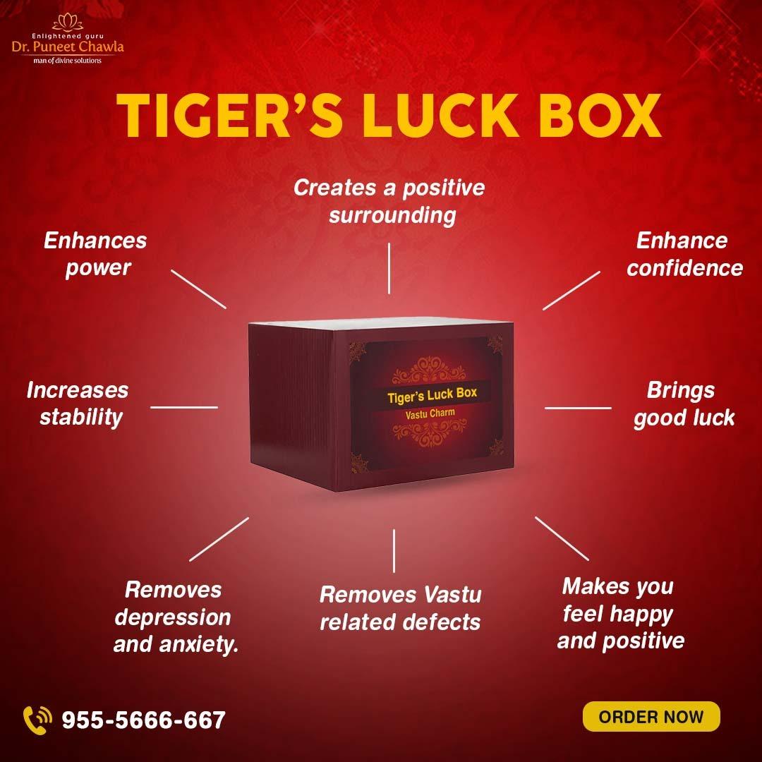 TIGER’S LUCK BOX - LiveVaastu