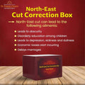 North East Cut Correction Box - LiveVaastu