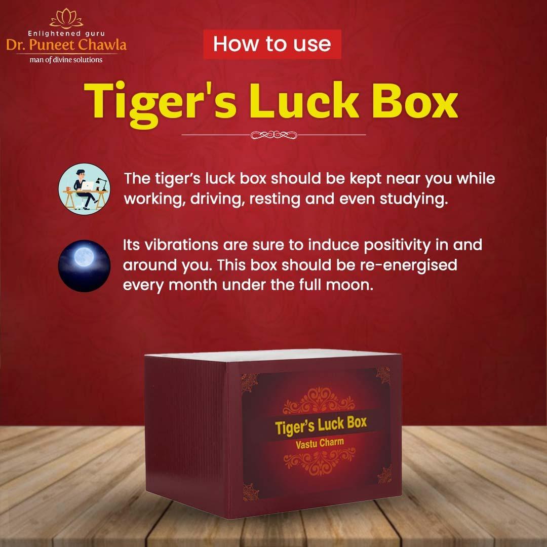 TIGER’S LUCK BOX - LiveVaastu