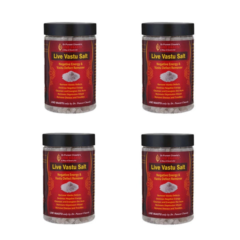 Live Vaastu Sea Salt Remove Negative Energy From Home Bedroom Kitchen Toilet Pack Of 4